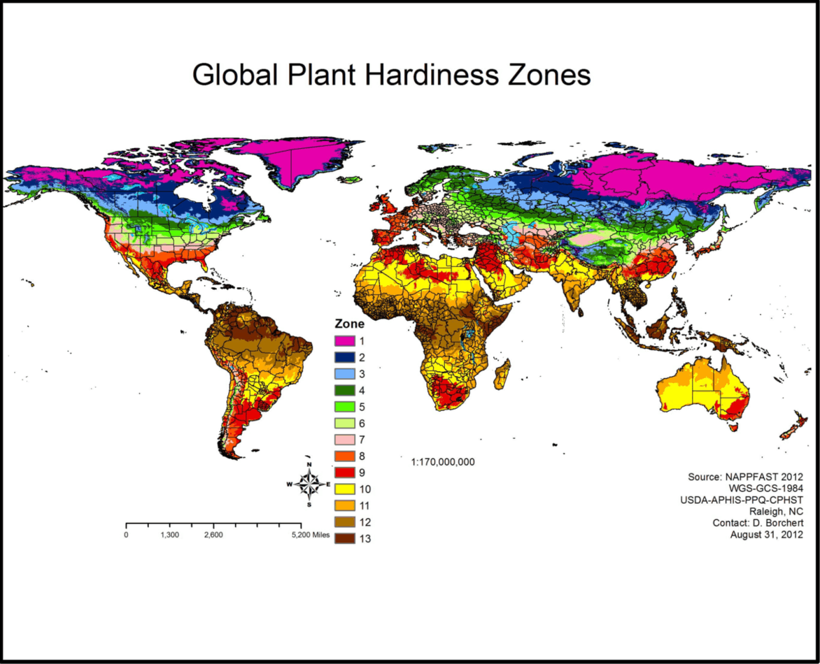 World Hardiness Zones 1 Homestead Crowd