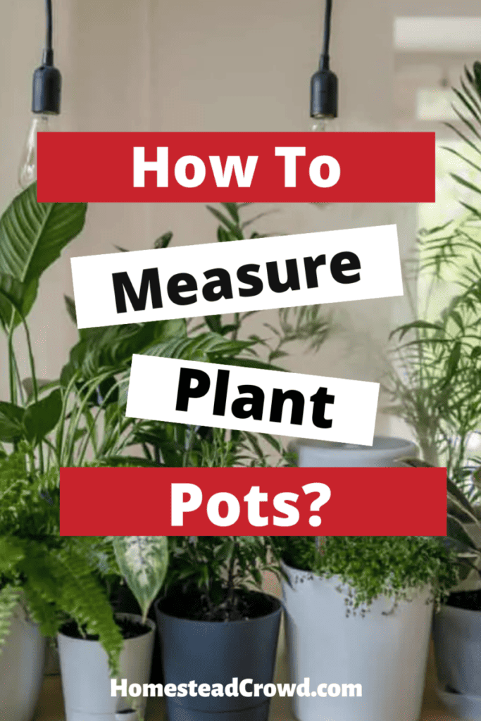 How To Measure Plant Pots