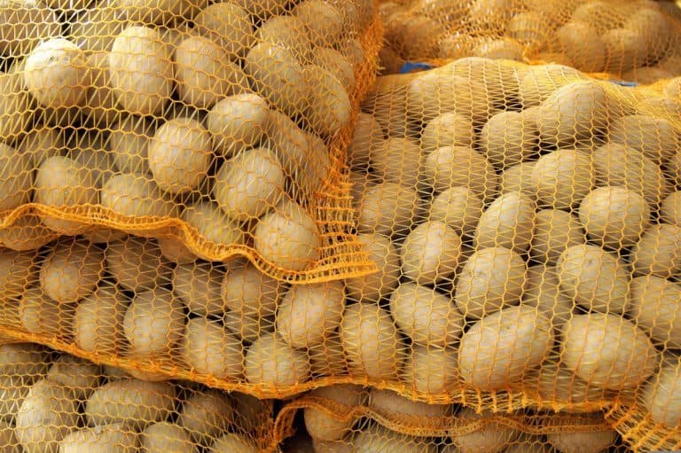 How To Preserve Vegetables Without Fridge Homestead Crowd